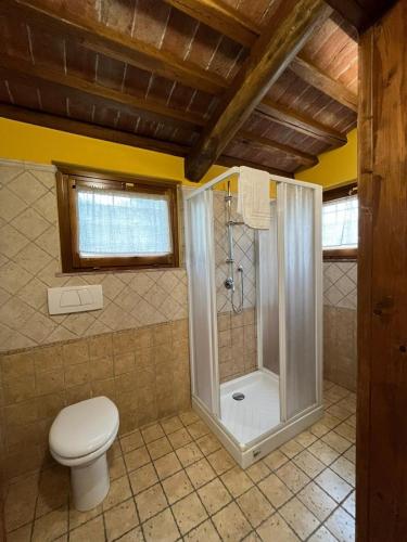 a bathroom with a toilet and a shower at Sibolla Holidays in Altopascio