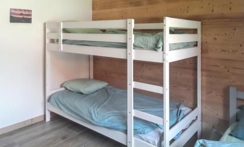 Tempat tidur susun dalam kamar di Maison de 4 chambres avec jardin amenage et wifi a Cerniebaud