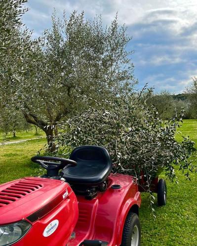 a red car with a seat in front of a tree at Sibolla Holidays in Altopascio