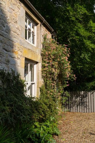 a building with a window and a bush with pink flowers at Charming Georgian Coach House in Hexham