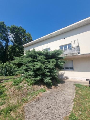 a pine tree in front of a building at Le B'Rock in Liévin