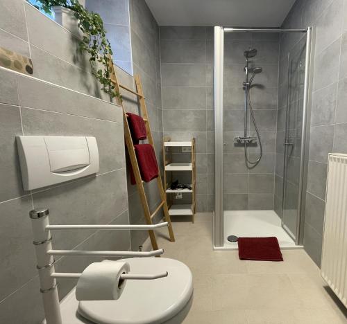 a bathroom with a shower and a toilet in it at Ferienwohnung Haus Gänseplatz in Volkach