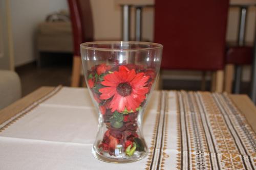 a glass vase with a red flower in it on a table at Hortobágyi Kemencés Vendégház in Hortobágy