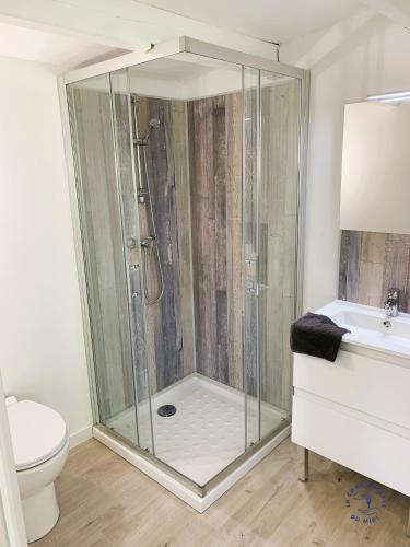 une salle de bain avec douche et toilettes dans l'établissement Gîte Studio Les Ecureuils, à Narbonne