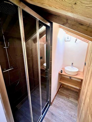 une salle de bain avec douche et lavabo dans l'établissement Chalet rénové, 10 personnes, 5 chambres - CH14, à Beaufort