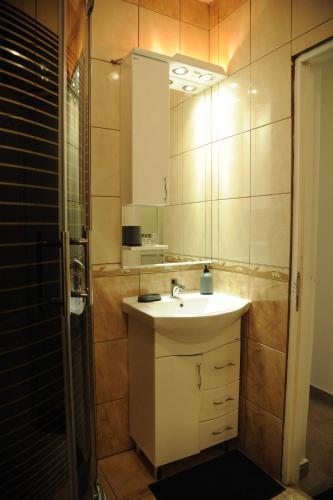 a bathroom with a sink and a mirror and a shower at New Moment in Žarkovo