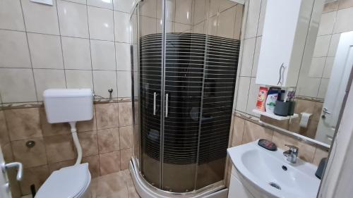 a bathroom with a shower and a toilet and a sink at New Moment in Žarkovo