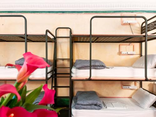 a group of bunk beds in a room with a flower at Ostello Bello Roma Colosseo in Rome