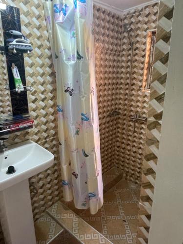 a shower curtain in a bathroom with a sink at Villa de chez nous in North Legon