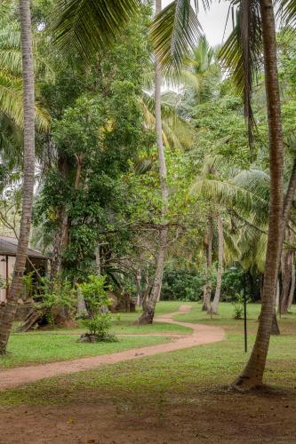 a path through a park with palm trees at Ging Oya Lodge in Waikkal