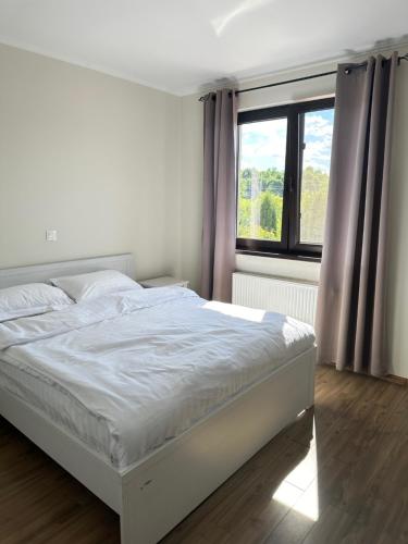Gallery image of Cazare Ozana Figa in Beclean