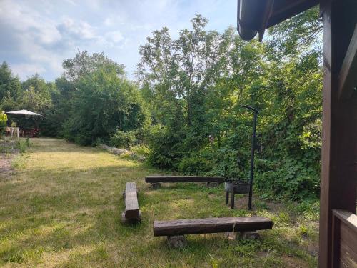 a group of benches in a yard with trees at Dolistówka Apartamenty, pole namiotowe, balia z jacuzzi, ogród warzywny dla gości, plac zabaw dla dzieci in Goniadz