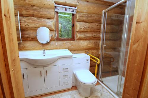a bathroom with a toilet and a sink and a shower at Log Cabin, Easter Hall Park in Petrockstow