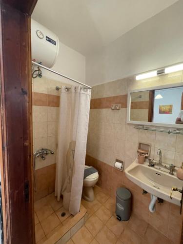 W łazience znajduje się toaleta, umywalka i prysznic. w obiekcie The Beehive 2 w mieście Mitylena