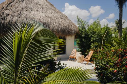 Zahrada ubytování VR CLUB Tulum Riviera