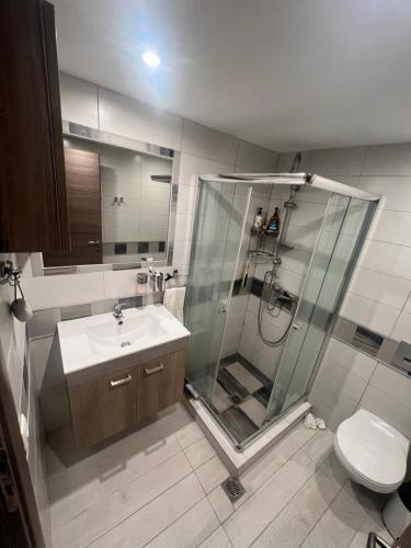 a bathroom with a shower and a sink and a toilet at Nea Peramos Apartment SeaFront in Néa Péramos
