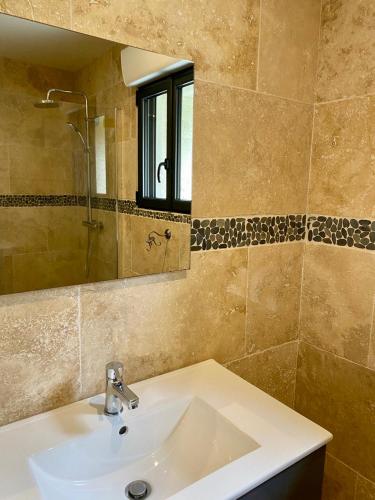 une salle de bain avec un lavabo et un miroir dans l'établissement Superbe Moulin - Château Landon, à Château-Landon