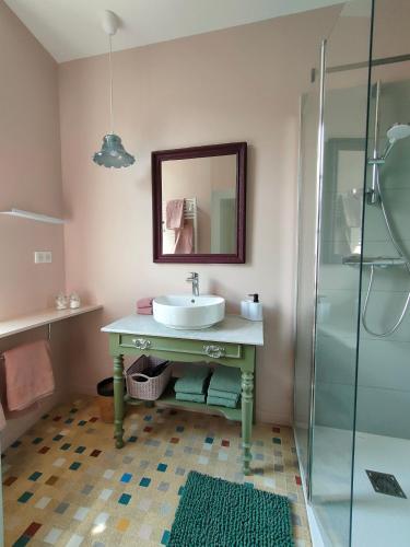 une salle de bain avec un lavabo et une douche dans l'établissement Les Epingliers - Le Clos Lacam, centre ville, dog friendly, à Gourdon