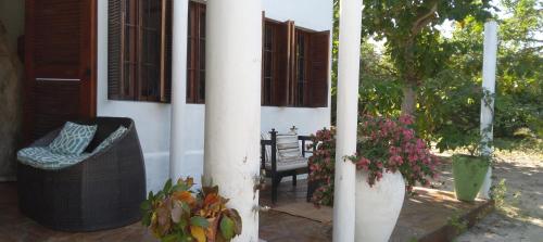 Κήπος έξω από το Villa Palma