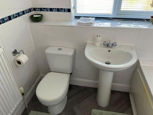 a white bathroom with a toilet and a sink at Family & Contractors Complementary Wine Coffee Tea in Earith