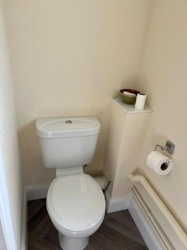 a bathroom with a toilet and a roll of toilet paper at Family & Contractors Complementary Wine Coffee Tea in Earith