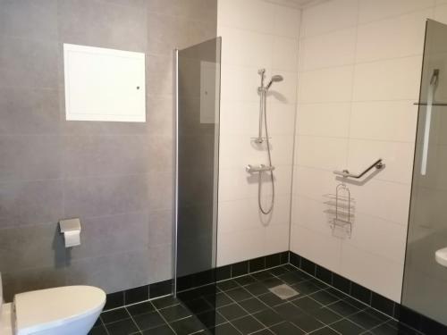 a bathroom with a shower with a toilet and a sink at Telemark Motel and Apartment in Hauggrend