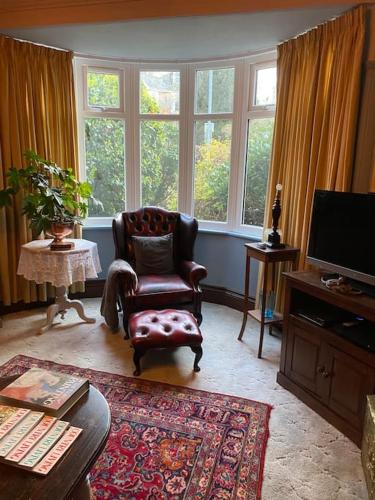 a living room with a chair and a television at Halcyon Days in Kenwyn