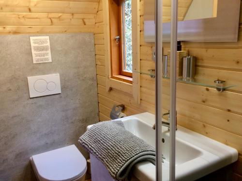 une salle de bain avec un lavabo et des toilettes dans l'établissement Les Trois Collines, à Saint-Cybranet