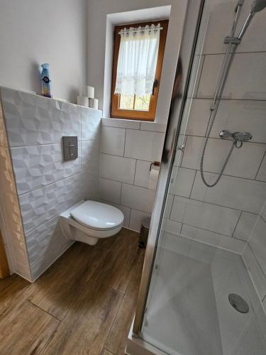 a bathroom with a toilet and a shower at Centrum Spokoju - Domki w Karkonoszach in Podgórzyn