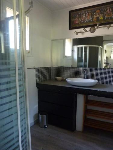 une salle de bain avec un lavabo et un grand miroir dans l'établissement Appartement dans superbe Villa, à La Croix-Valmer