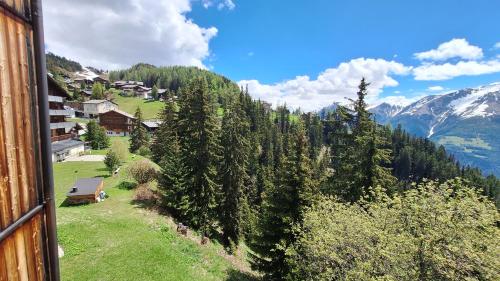 a view from a window of a mountain with trees at Haus Bella Vista in Riederalp