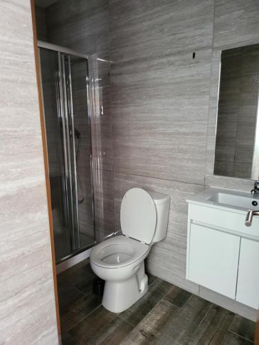 a bathroom with a toilet and a shower and a sink at Leao de Ouro in Matosinhos