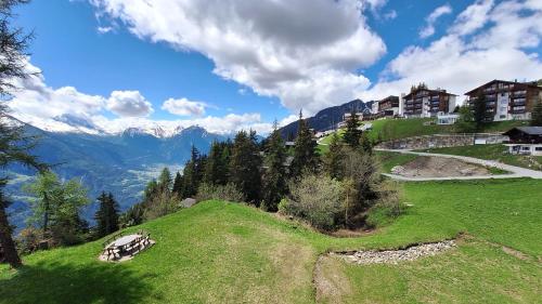 a grassy hill with buildings and mountains in the background at Haus Bella Vista in Riederalp