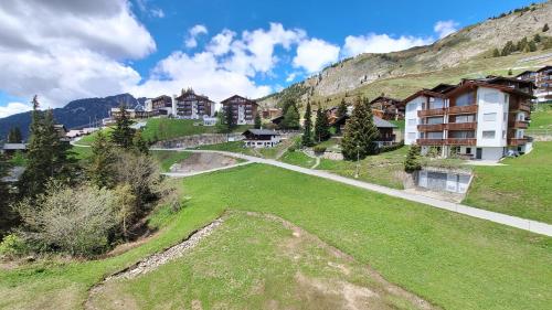 a large green field with houses and a mountain at Haus Bella Vista in Riederalp