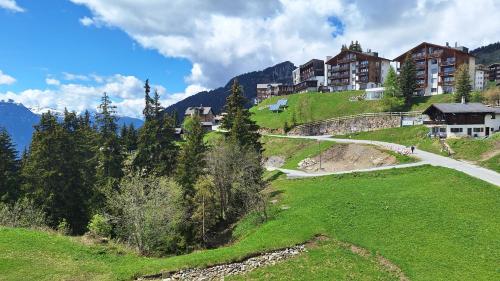 a building on top of a green hill with a road at Haus Bella Vista in Riederalp