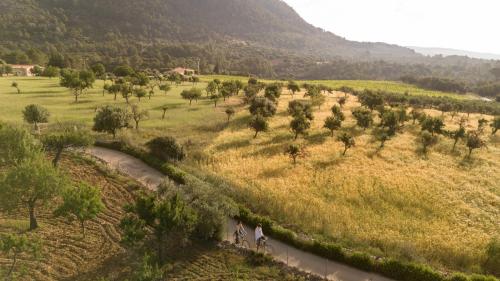 two people riding bikes down a road in a field at Ca'n Beneït in Binibona