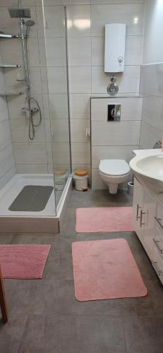 a bathroom with a shower and a toilet and a sink at Schnick Schnack in Kröv