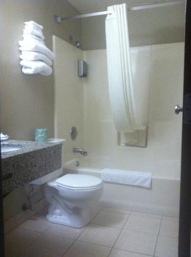 Salle de bains dans l'établissement Super 8 by Wyndham Bridgeview/Chicago Area
