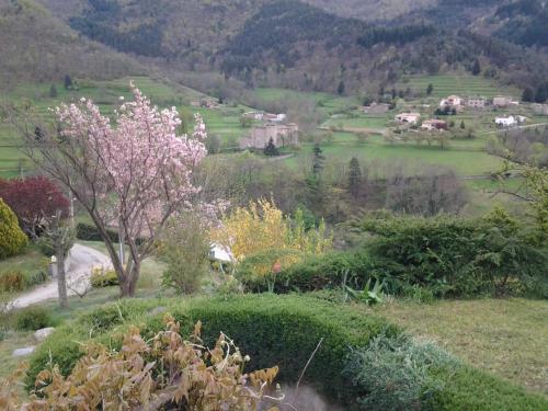 a view of a hillside with a tree with pink flowers at MALPAS125 maison 6 chambres 10personnes in Accons