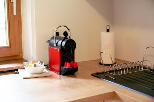 Dapur atau dapur kecil di Apartment Bergglück im Lungau