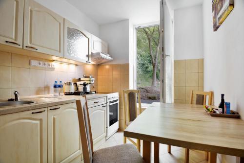 a kitchen with a sink and a table in it at Apartmány Děčín in Děčín