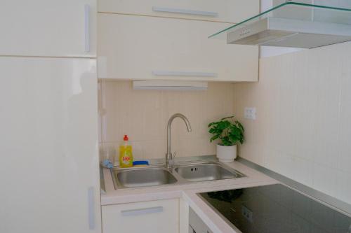 Apartment Zenta with free private parking