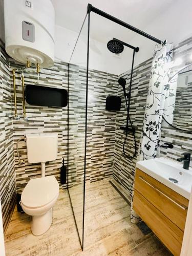 a bathroom with a toilet and a shower and a sink at Apartament Olimp in Olimp
