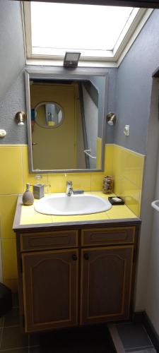 a bathroom with a sink and a large mirror at MALPAS125 maison 6 chambres 10personnes in Accons