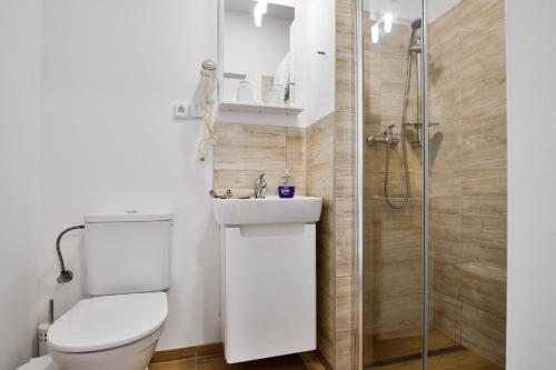 a white bathroom with a toilet and a shower at Apartmány Děčín in Děčín