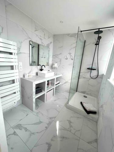une salle de bain blanche avec un lavabo et une douche dans l'établissement Le Nid d'Or, à Besançon