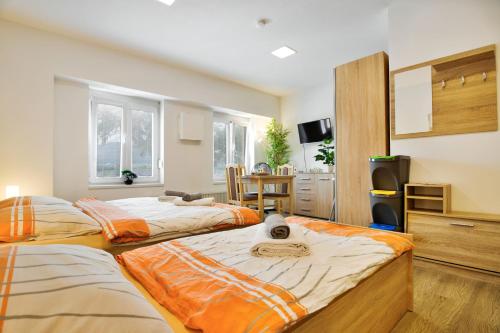 Posteľ alebo postele v izbe v ubytovaní Apartmány Děčín