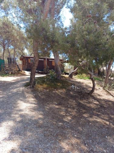 Κήπος έξω από το Casita de madera