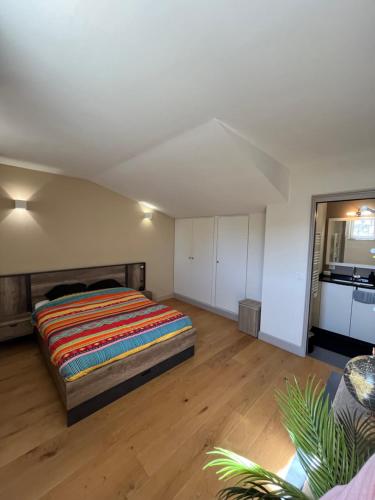 une grande chambre avec un lit et une cuisine dans l'établissement T2 Centre historique Avignon, à Avignon