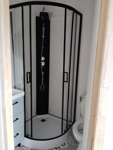 a shower in a bathroom with a toilet at Studio cosy sans vis-à-vis in Vernon